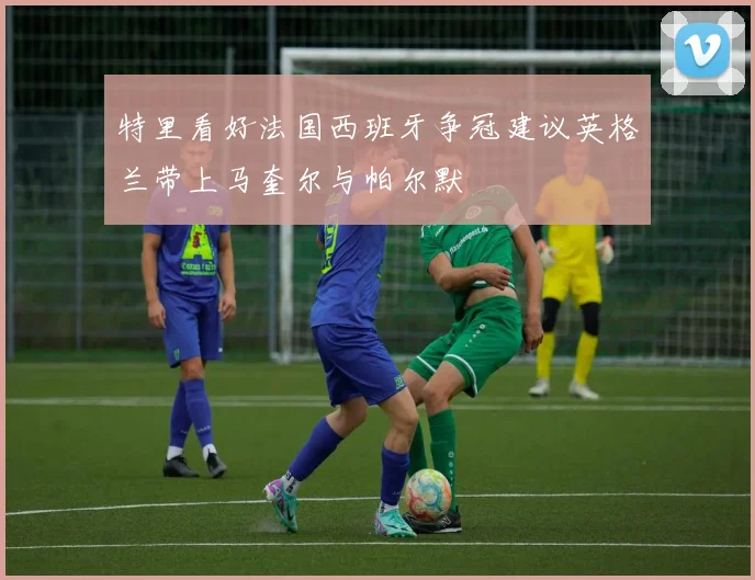 特里看好法国西班牙争冠建议英格兰带上马奎尔与帕尔默