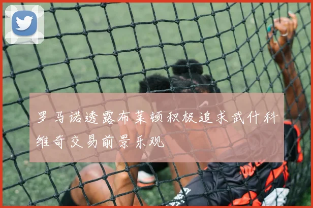 罗马诺透露布莱顿积极追求武什科维奇交易前景乐观