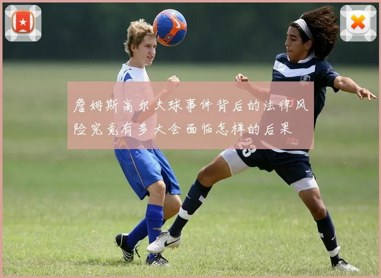 詹姆斯高尔夫球事件背后的法律风险究竟有多大会面临怎样的后果